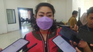 Kebutuhan Listrik Meningkat, PLN Didorong Buka Peluang Kompetitor Lain