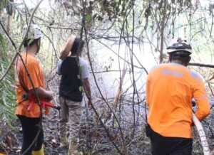 Dua Hari Berturut-turut Kebakaran Lahan Terjadi di Kota Samarinda