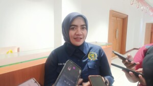 Laila Soroti Pentingnya Dukungan Pemerintah dan Swasta Bagi Pelaku UMKM