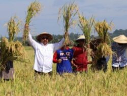 Dukung Pertanian, Bupati Kukar Serahkan Polis Asuransi untuk Petani