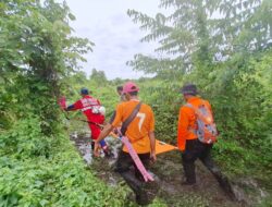 Dua Pemburu Rusa Tersesat di Hutan Muara Kaman, Satu Dievakuasi dengan Tandu