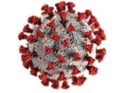 Virus Flu A dan HMPV, Dinkes Kaltim Imbau Masyarakat Tak Khawatir