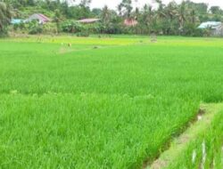 Tenggarong Seberang Fokus Majukan UMKM dan Sektor Pertanian pada 2025