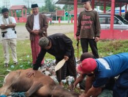 Pemkab Kukar dan Perusahaan Salurkan Hewan Kurban di Kecamatan Marangkayu