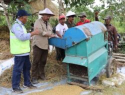 Panen Perdana Padi di Desa Mulawarman, Bupati Kukar Tegaskan Komitmen pada Ketahanan Pangan