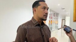 Ramai Pengibaran Bendera One Piece Jelang HUT RI ke-80, Abdul Rohim Nilai Itu Bentuk Kritik Sosial Bukan Makar