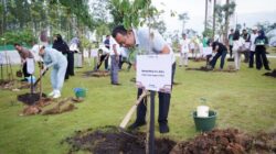 Dukungan Lintas Lembaga Menguat, Penanaman 40 Pohon Jadi Simbol Komitmen Pembangunan IKN sebagai Forest City