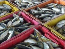 Inflasi Terkendali, BI Kaltim Pastikan Stabilitas Harga Tetap Terjaga