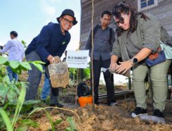 Reboisasi IKN Digenjot, 100 Bibit Ditanam Selamatkan Hutan Nusantara