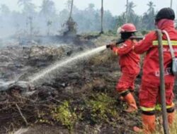 Perbandingan Musim Kemarau Kaltim 2026: Lebih Ringan dari 2015, Tapi Risiko Karhutla Tetap Tinggi