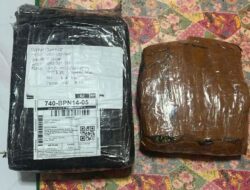 Pengedar Ganja Dibekuk di Balikpapan