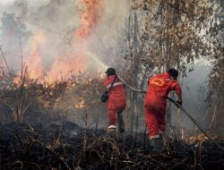 Warga IKN Jadi Garda Depan Cegah Karhutla