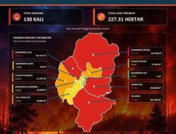 Karhutla Samarinda Capai 227 Hektare, Palaran Terparah
