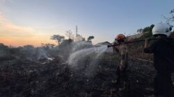 Karhutla Samarinda Hanguskan 278 Hektare