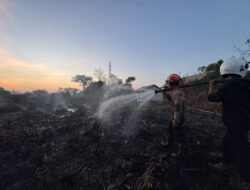 Karhutla Samarinda Hanguskan 278 Hektare