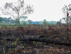Water Bombing Bantu Jinakkan Karhutla di IKN