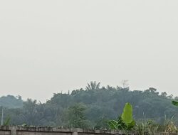 Samarinda Diselimuti Kabut Asap, Warga Diminta Kurangi Aktivitas