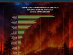 Karhutla Samarinda Capai 198 Kejadian, Palaran Jadi Wilayah dengan Luas Terbakar Terbesar