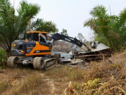 Bukit Soeharto Ditertibkan, 420 Hektare Terbakar