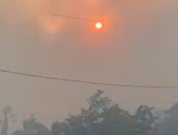 Karhutla Palaran Meluas, Warga Diminta Waspada