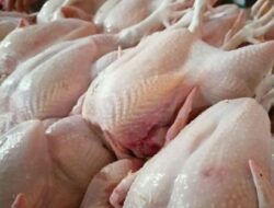 Inflasi Kaltim Melandai, Harga Ayam dan Cabai Naik